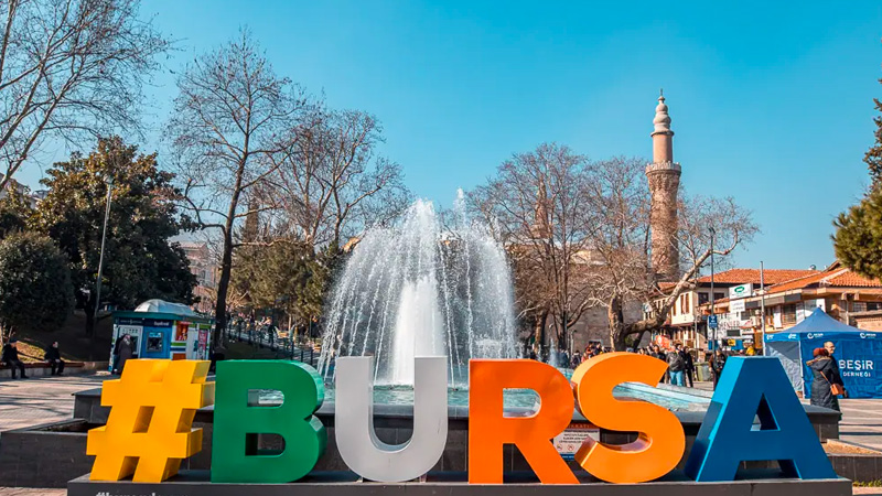 Bursa